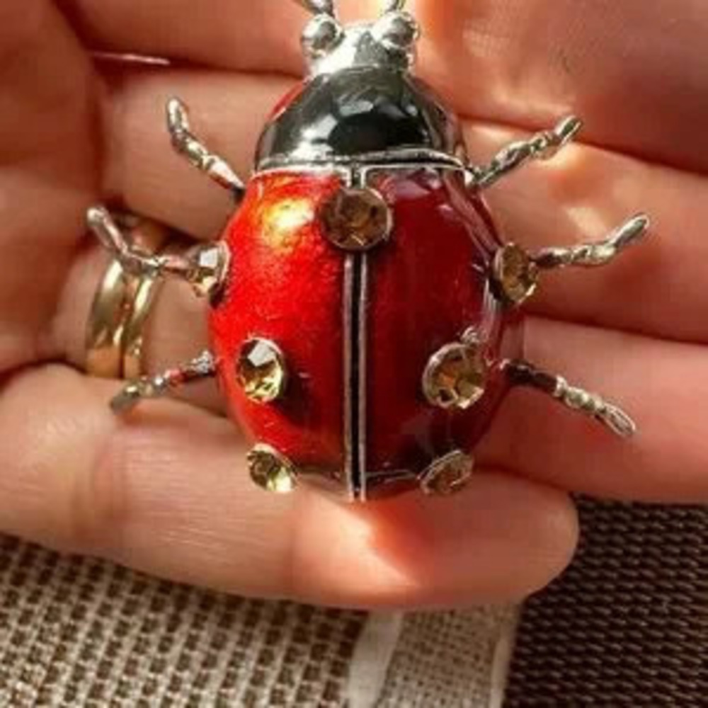 ladybug Brooch Pin - Picture 3 of 5